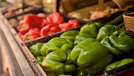 تصویر 1 از خرید و قیمت فلفل دلمه ای سبز + فروش عمده